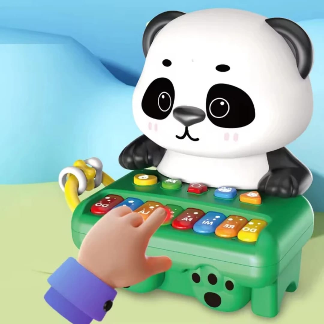 2-in-1 Panda Musical Xylophone & Piggy Bank