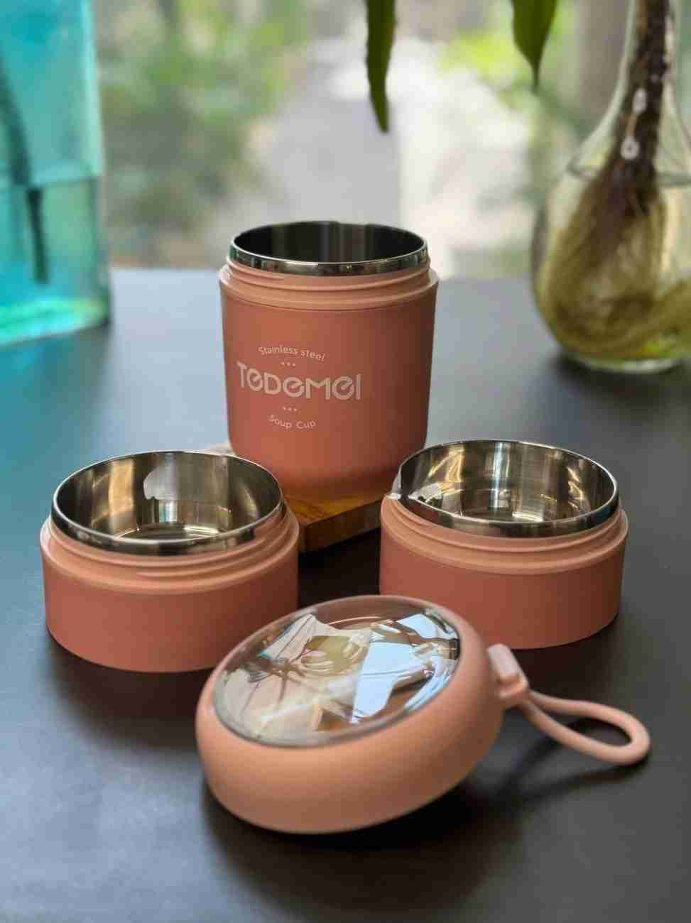 Tedemei Portable Thermal Lunch Box Lunch Box - 2 compartment & 3 compartment