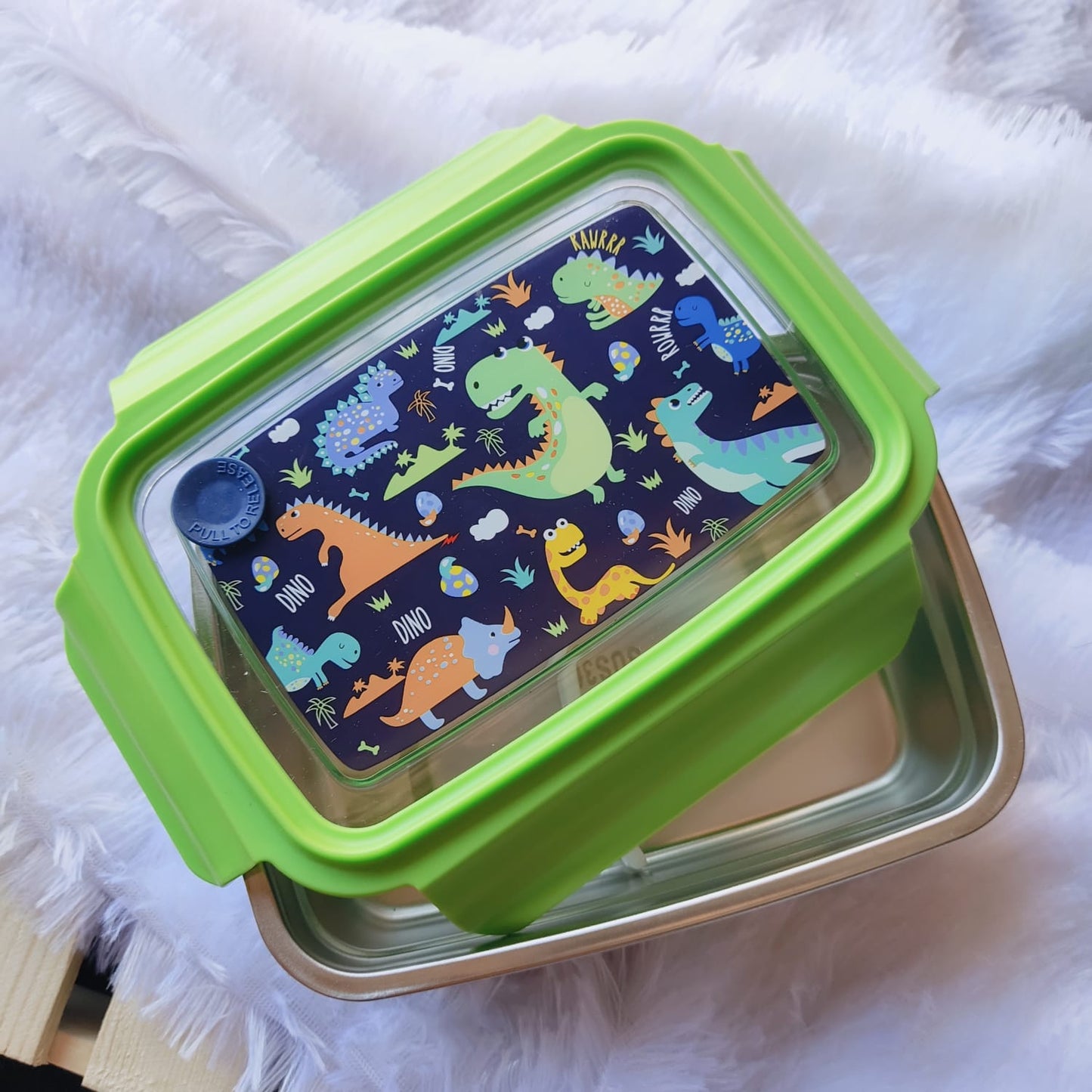 Themed SS Lunch Box With Container