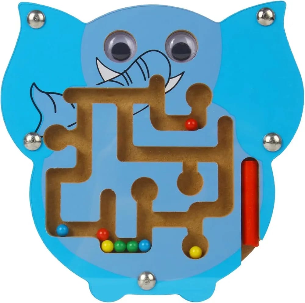 Magnetic Maze Puzzle Game